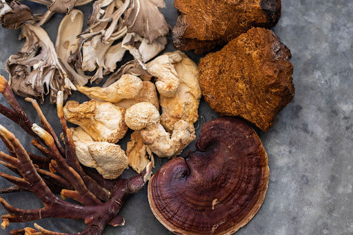 7 Benefits of Adaptogens