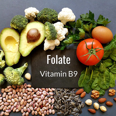 Folate_Vitamin_B9
