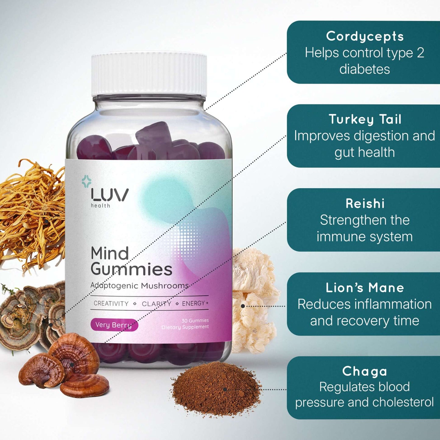 LUV Mind Gummies Ingredients Summary