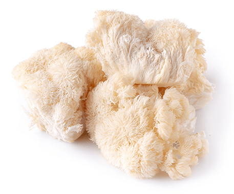 Organic Lion's Mane