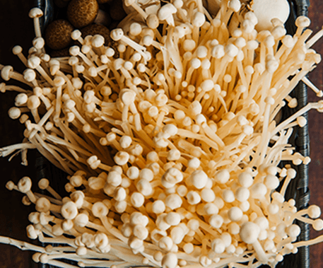 Organic Cordyceps